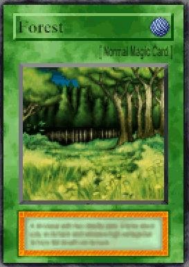 Forest