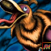 Droll Bird