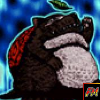 Turtle Raccoon