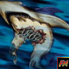 Corroding Shark