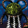 Turtle Oath